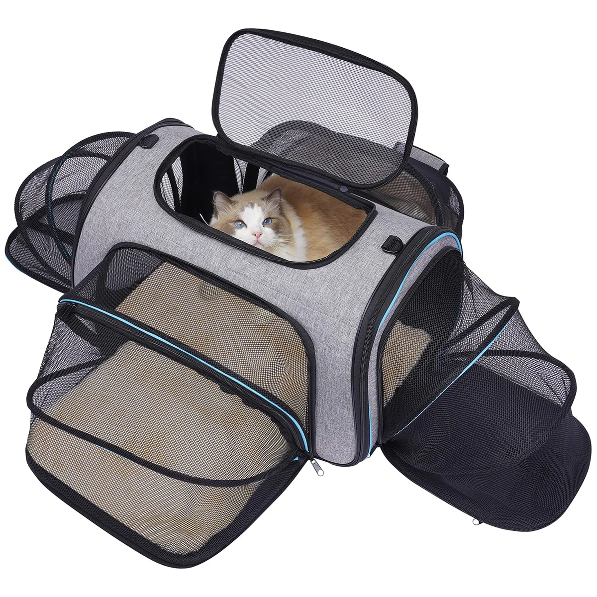 Pet Carrier, Expandable Dog Carrier