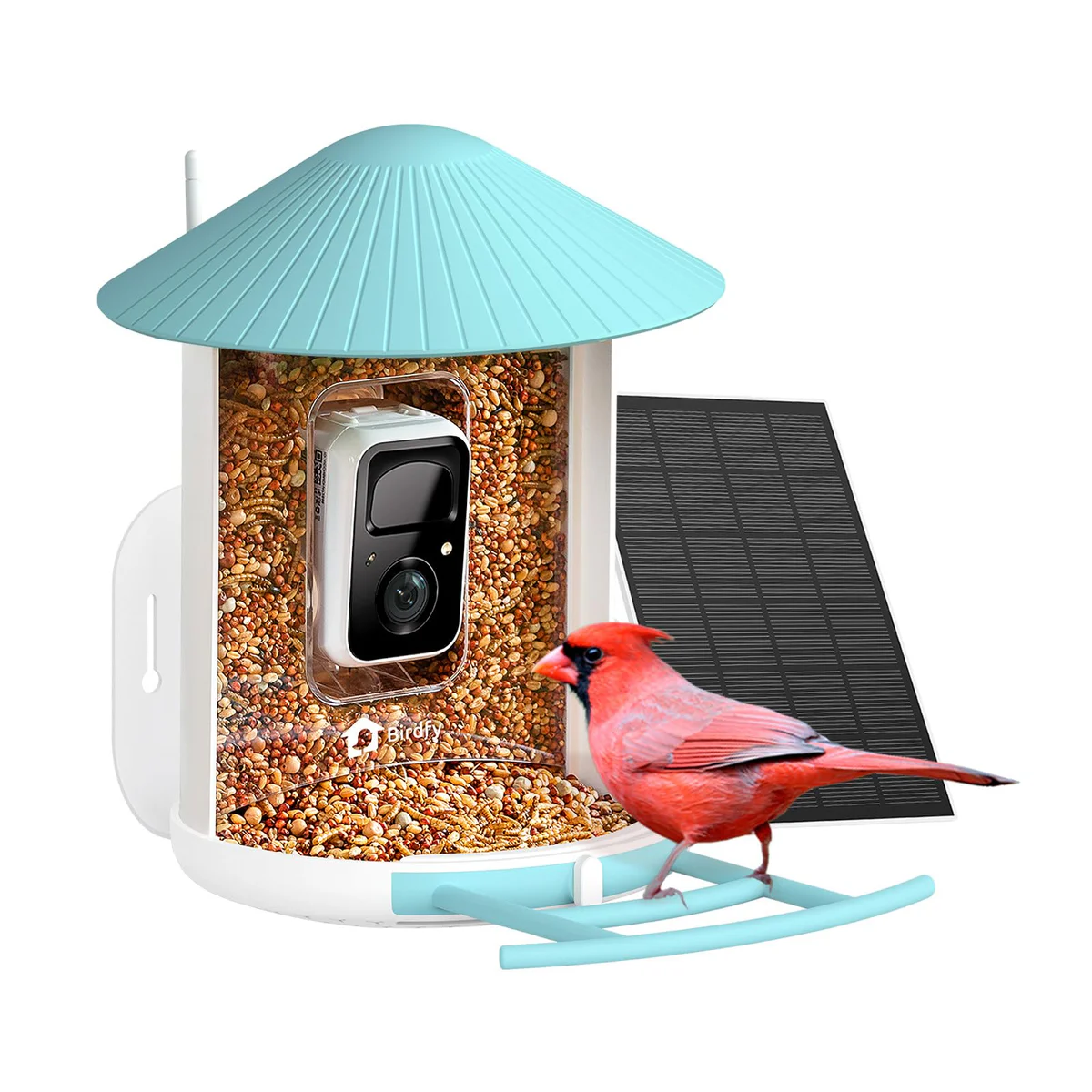 NETVUE Smart Bird Feeder Camera 