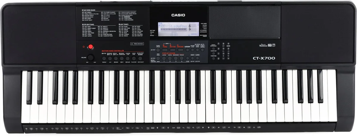 Casio Standalone Keyboard