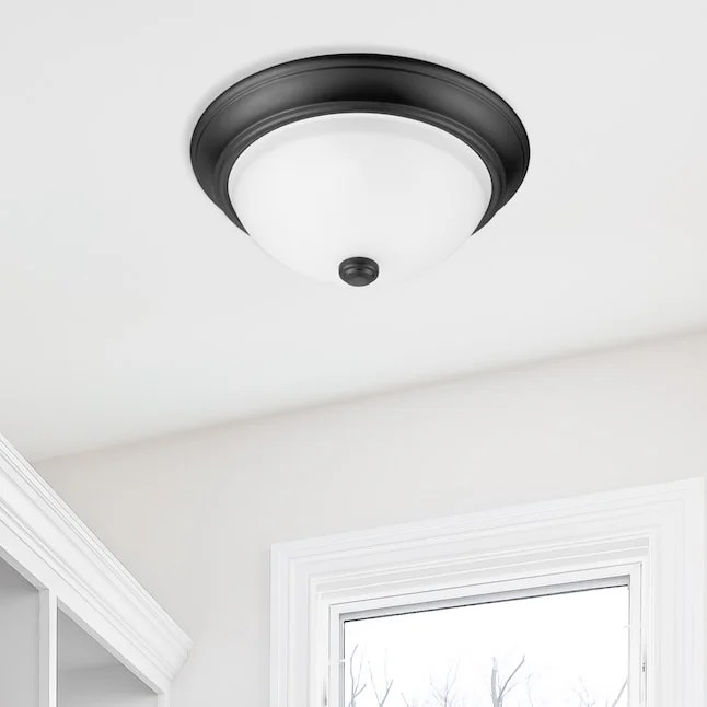 Project Source Light