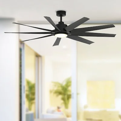 Fanimation Ceiling Fan