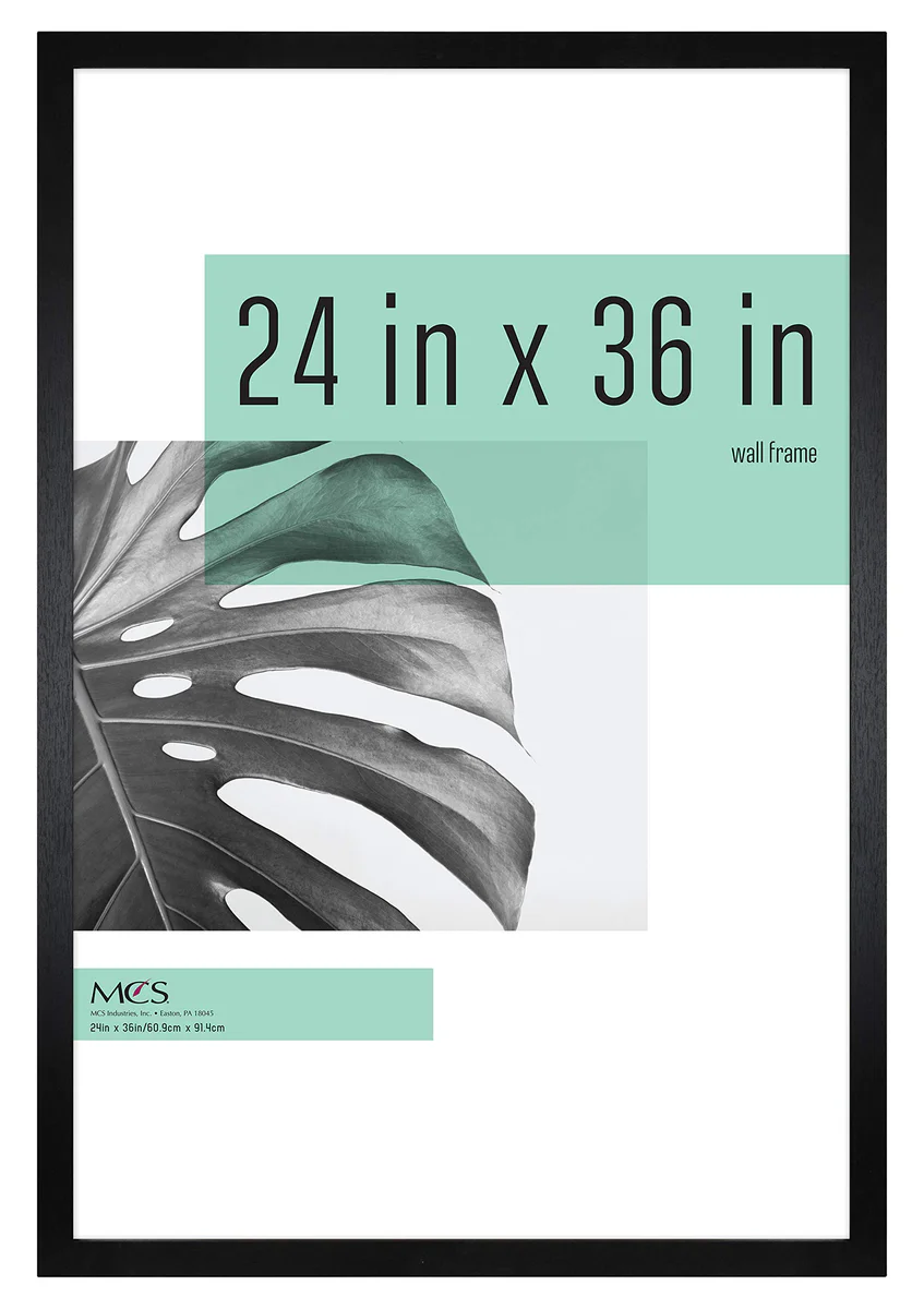 MCS Poster Frame, 24x36 Inch