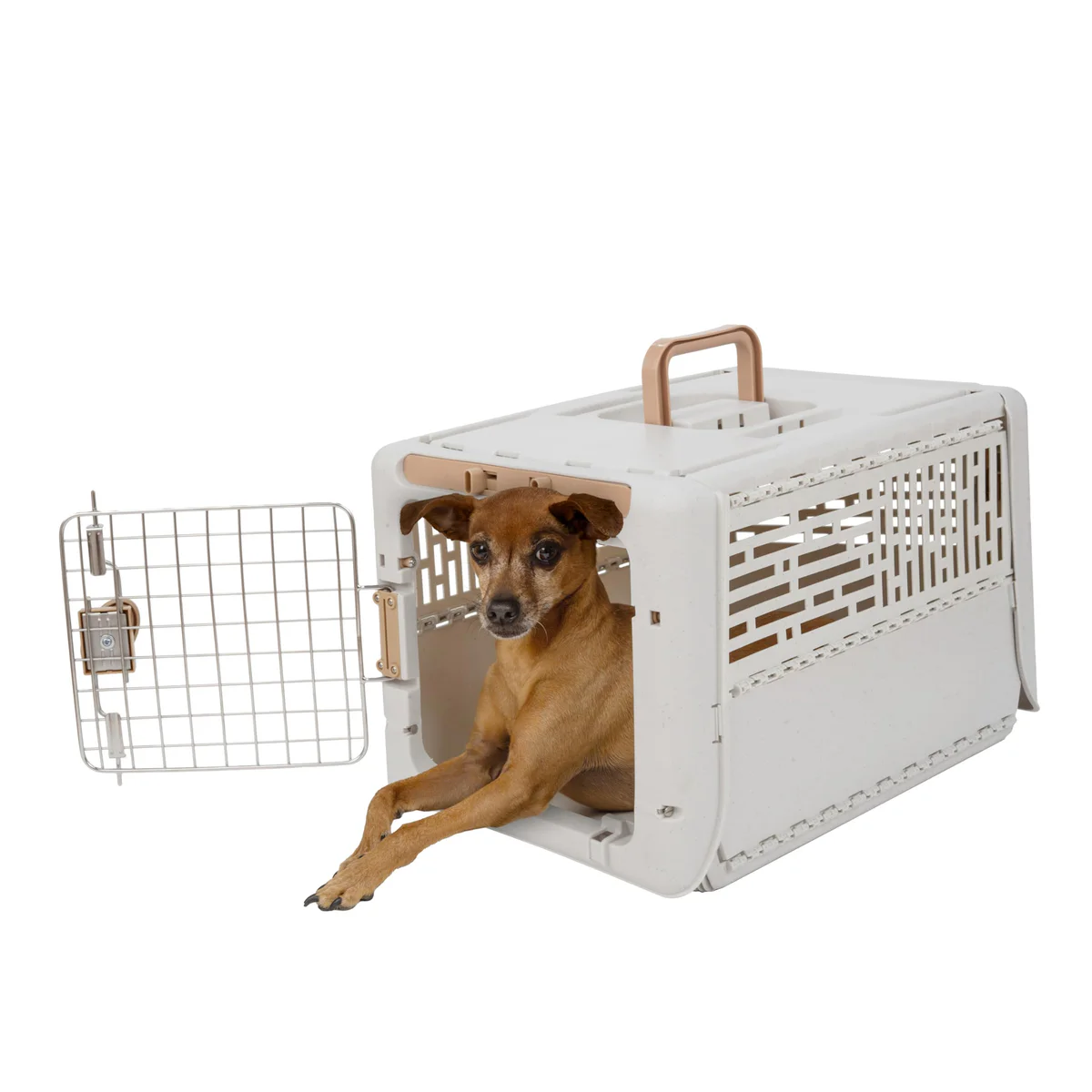 SportPet Designs Collapsible Pet Carrier 