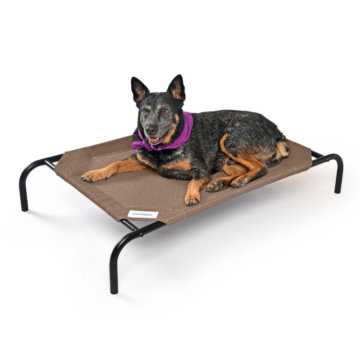 Coolaroo The Original Elevated Pet Bed