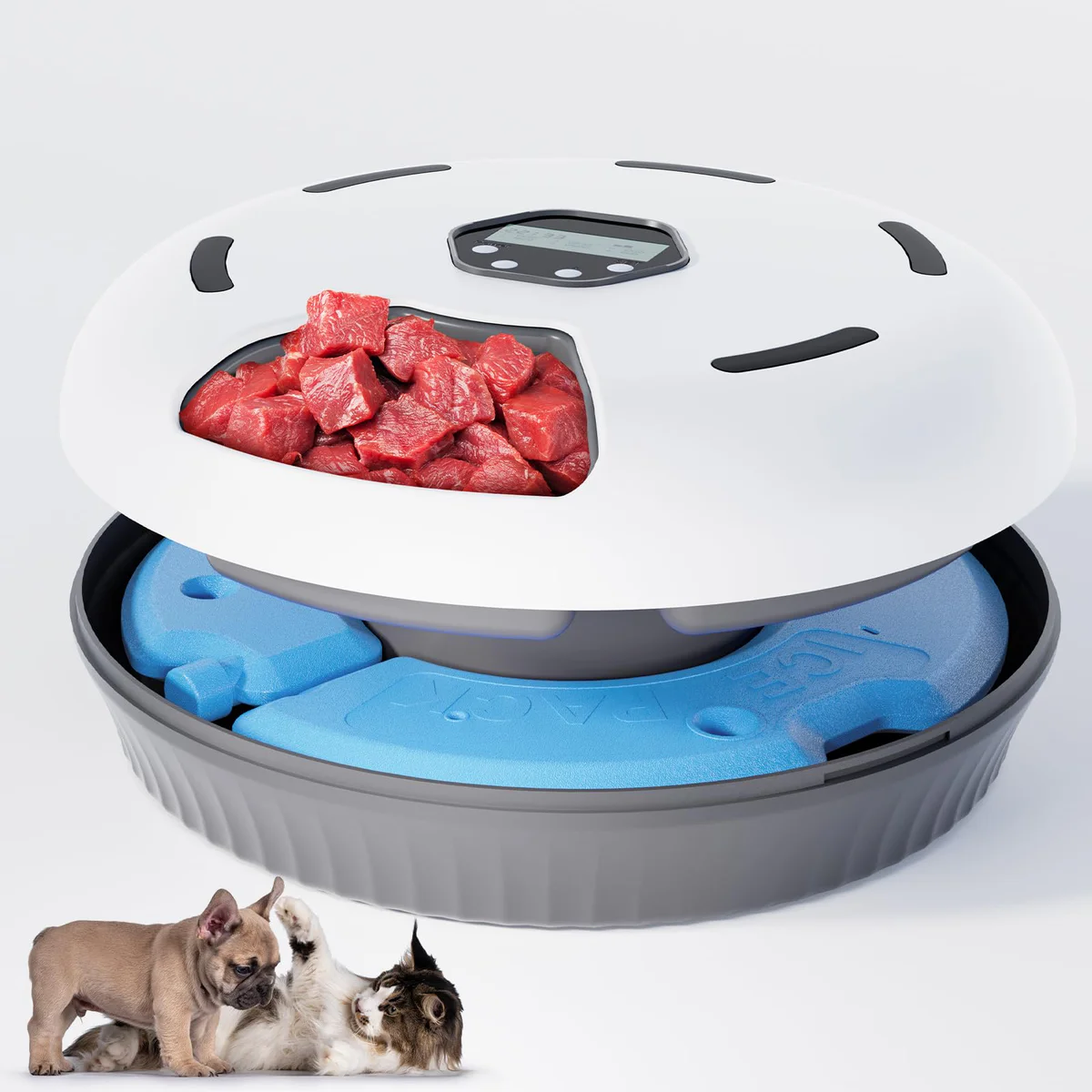 GUODUN ARMOR Automatic Refrigerated Wet & Dry Cat Food Feeder