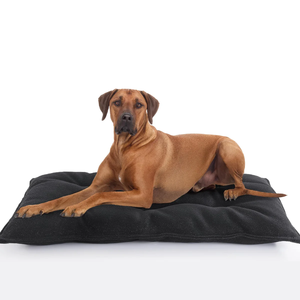 MABOZOO Orthopedic Dog Bed Lounge Sofa