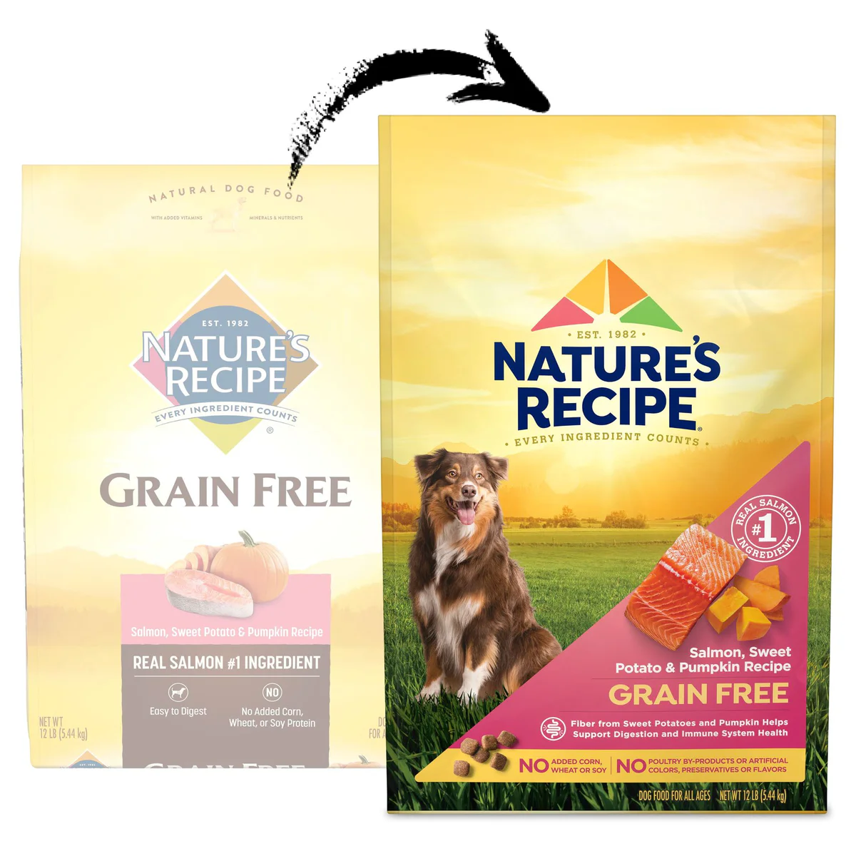 Nature's Recipe Grain Free Easy To Digest Chicken Recipe Dog Food