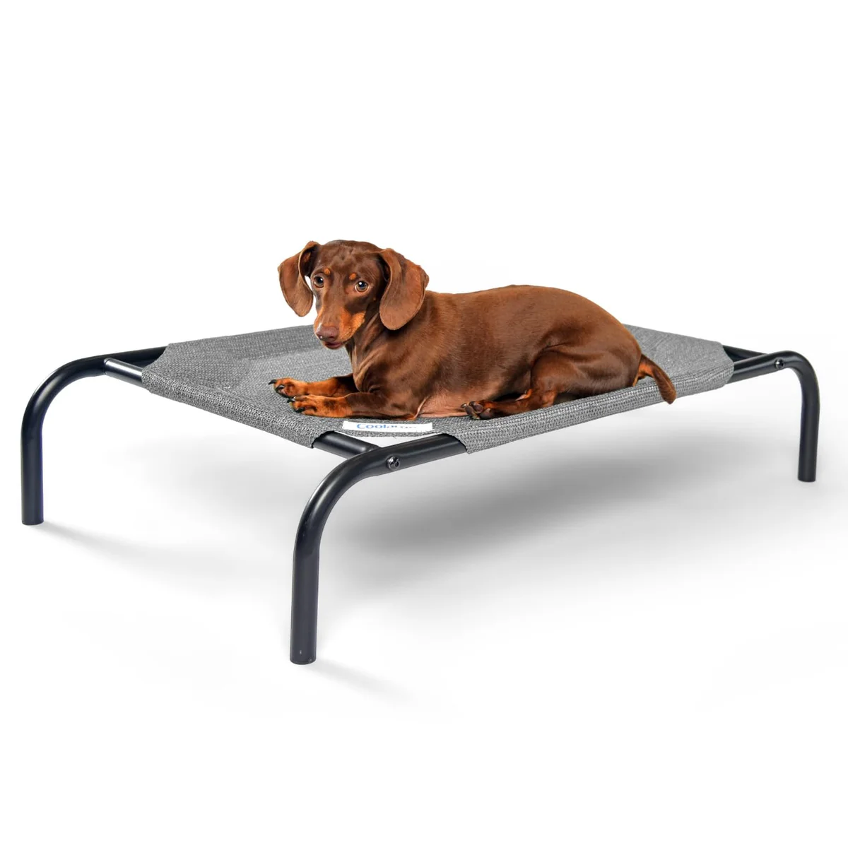 Coolaroo Pet Bed