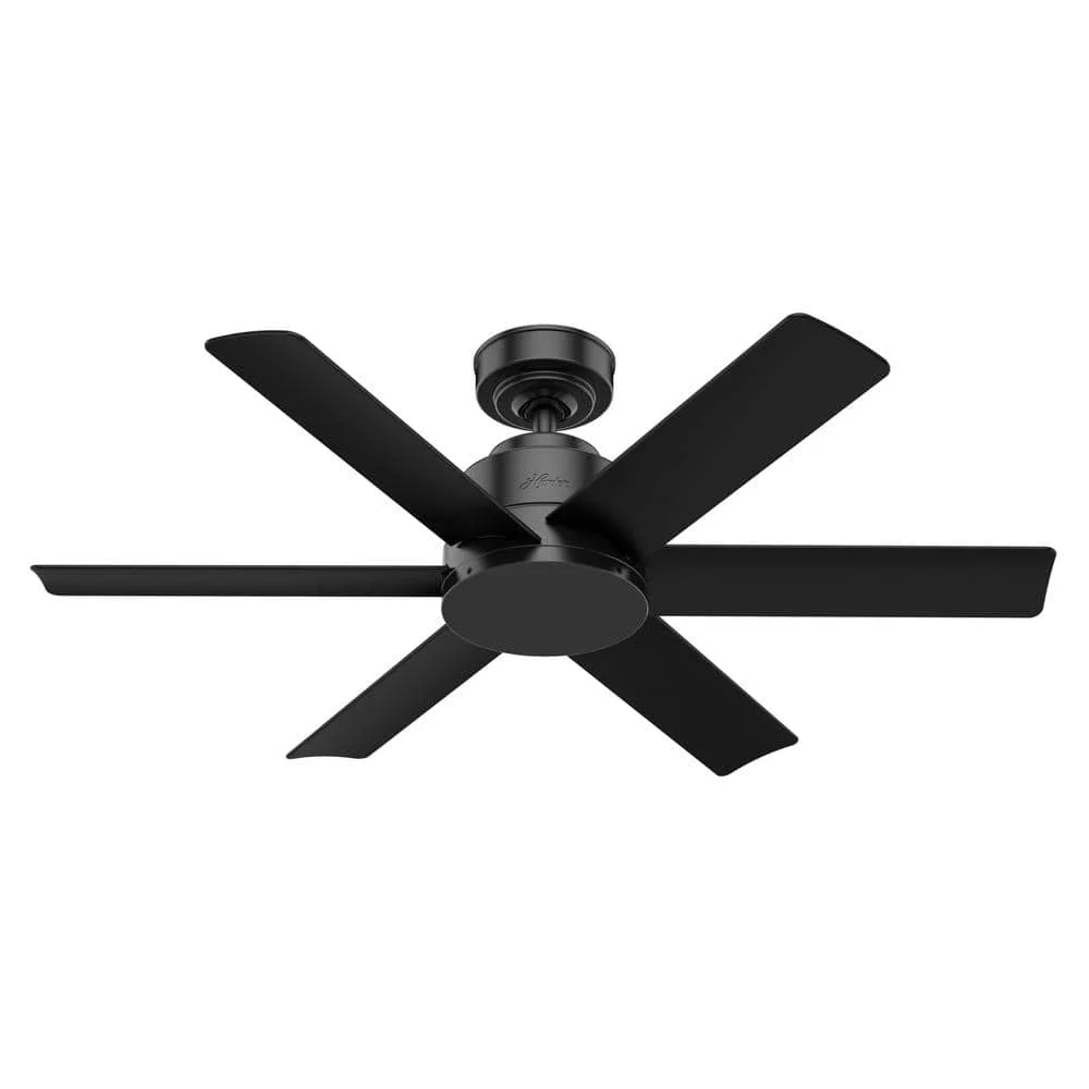 Hunter Indoor Ceiling Fan