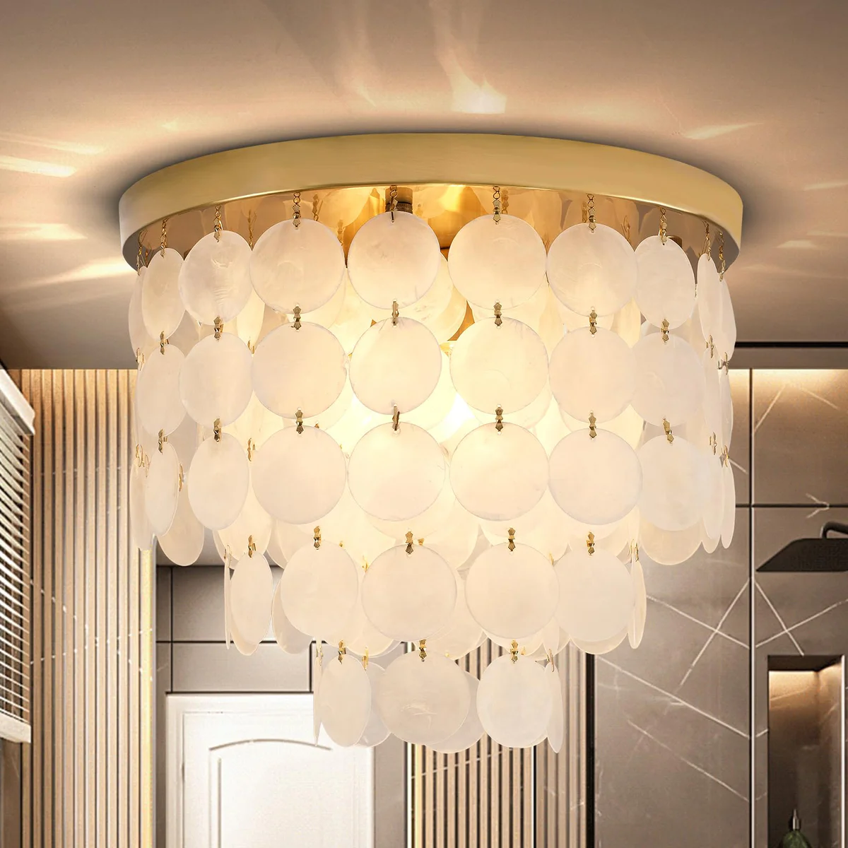 ZEDSUN Chandelier Lighting Fixture