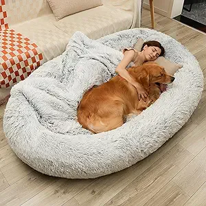 DMTINTA Dog Bed