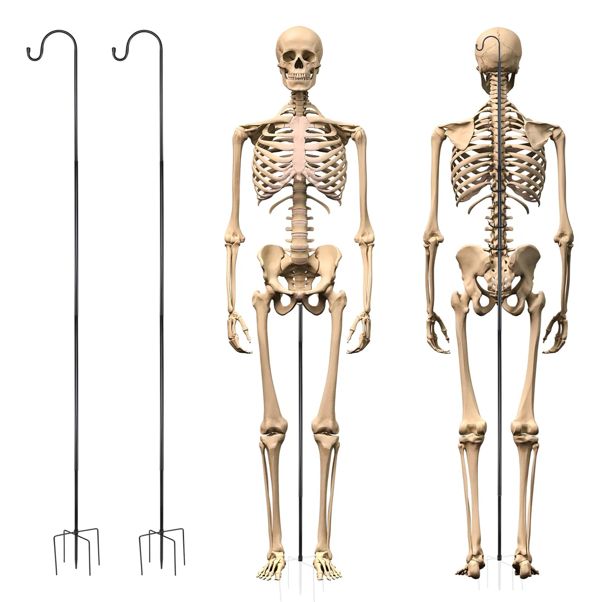Otoolling Halloween Skeleton Decoration Stands
