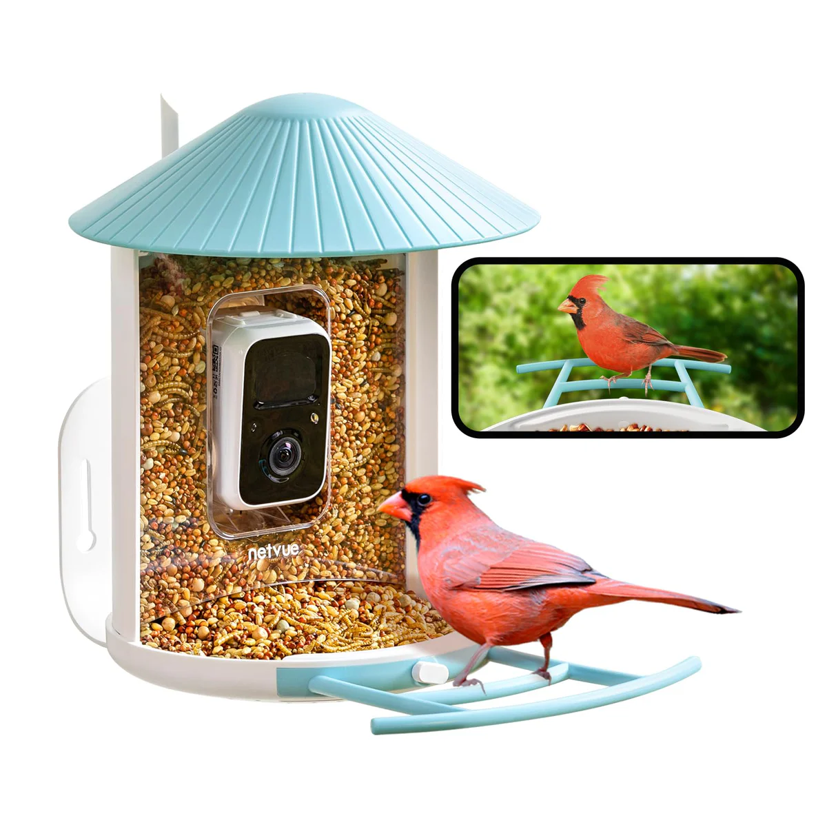 NETVUE Bird Feeder Camera with AI Recognition