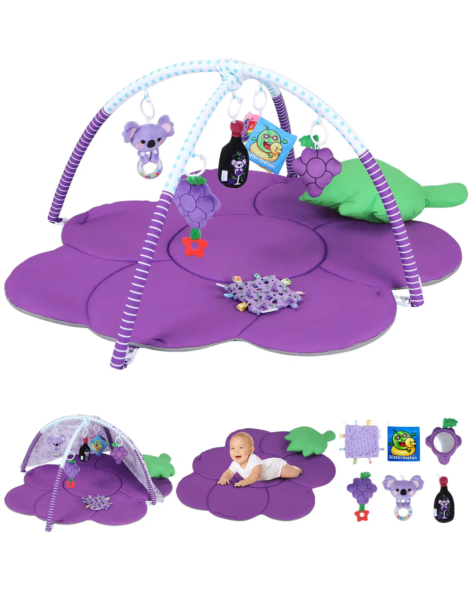 Heypappy Baby Play Gym Mat with Sunshade & Sensory Toys