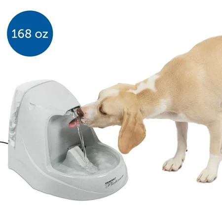 PetSafe Drinkwell Platinum Pet Fountain