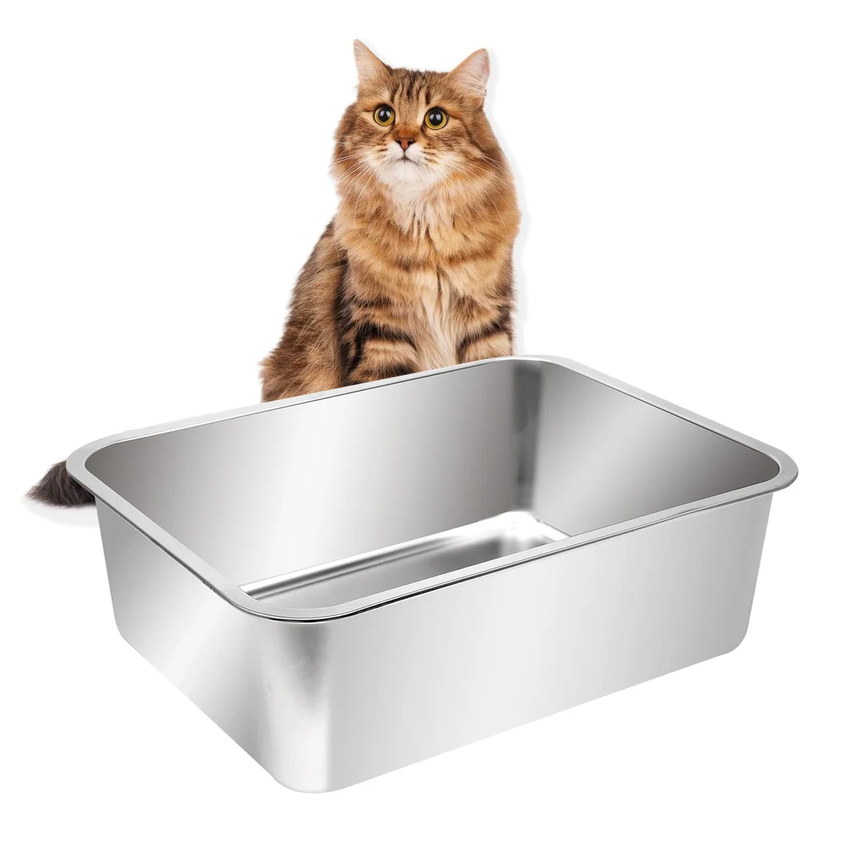Kichwit Cat Litter Box