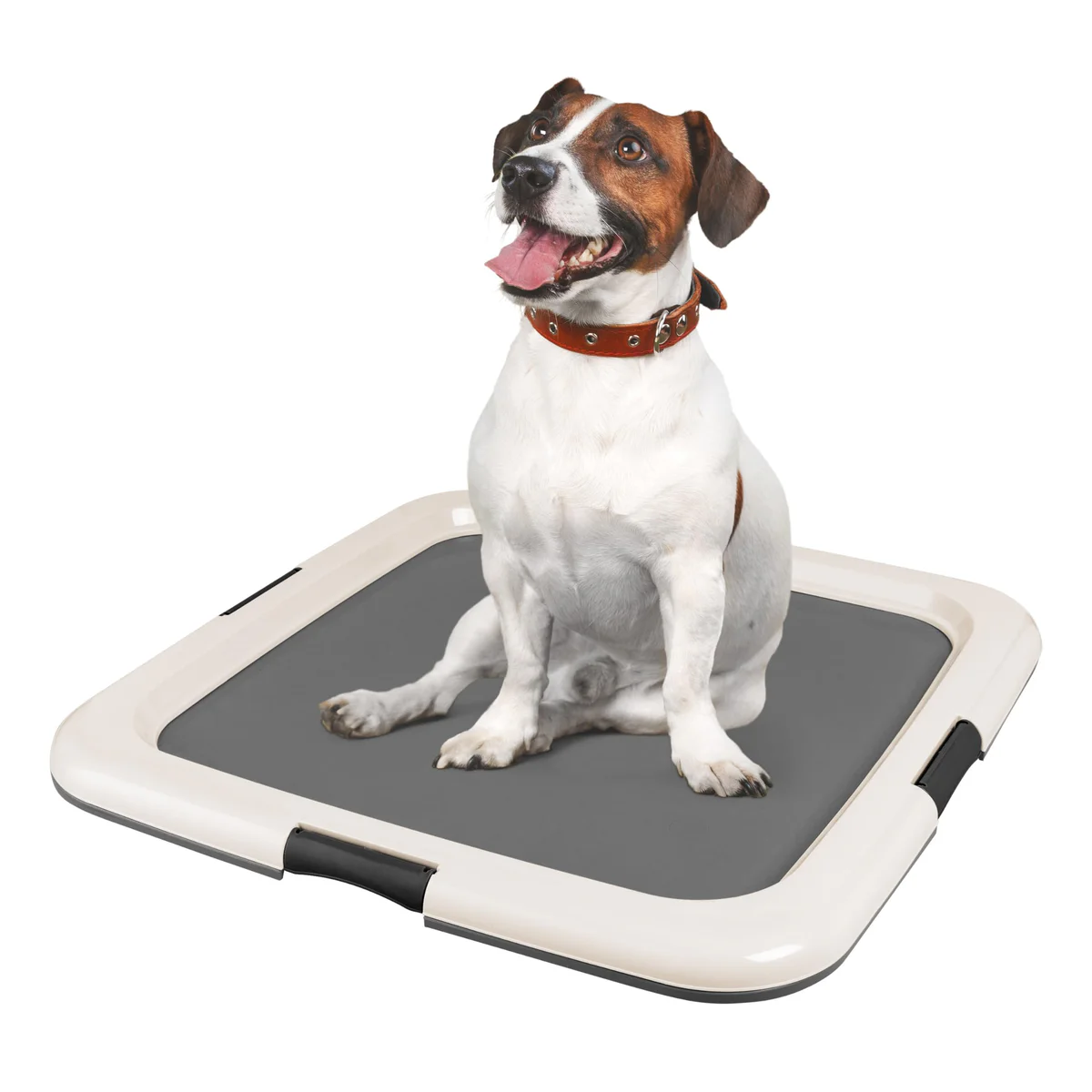 IRIS USA Pee Pad Holder