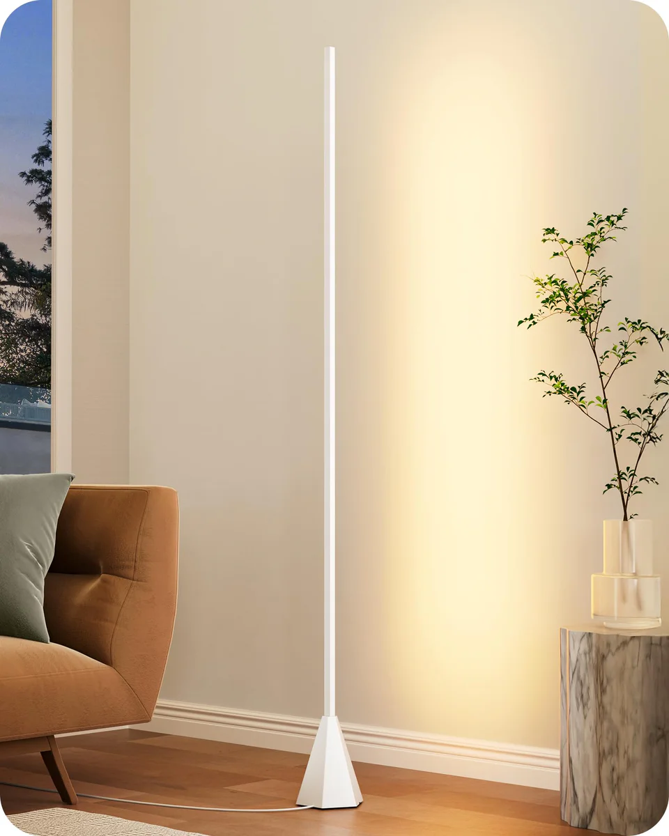 EDISHINE Floor Lamp