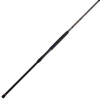Penn Spinning Fishing Rod