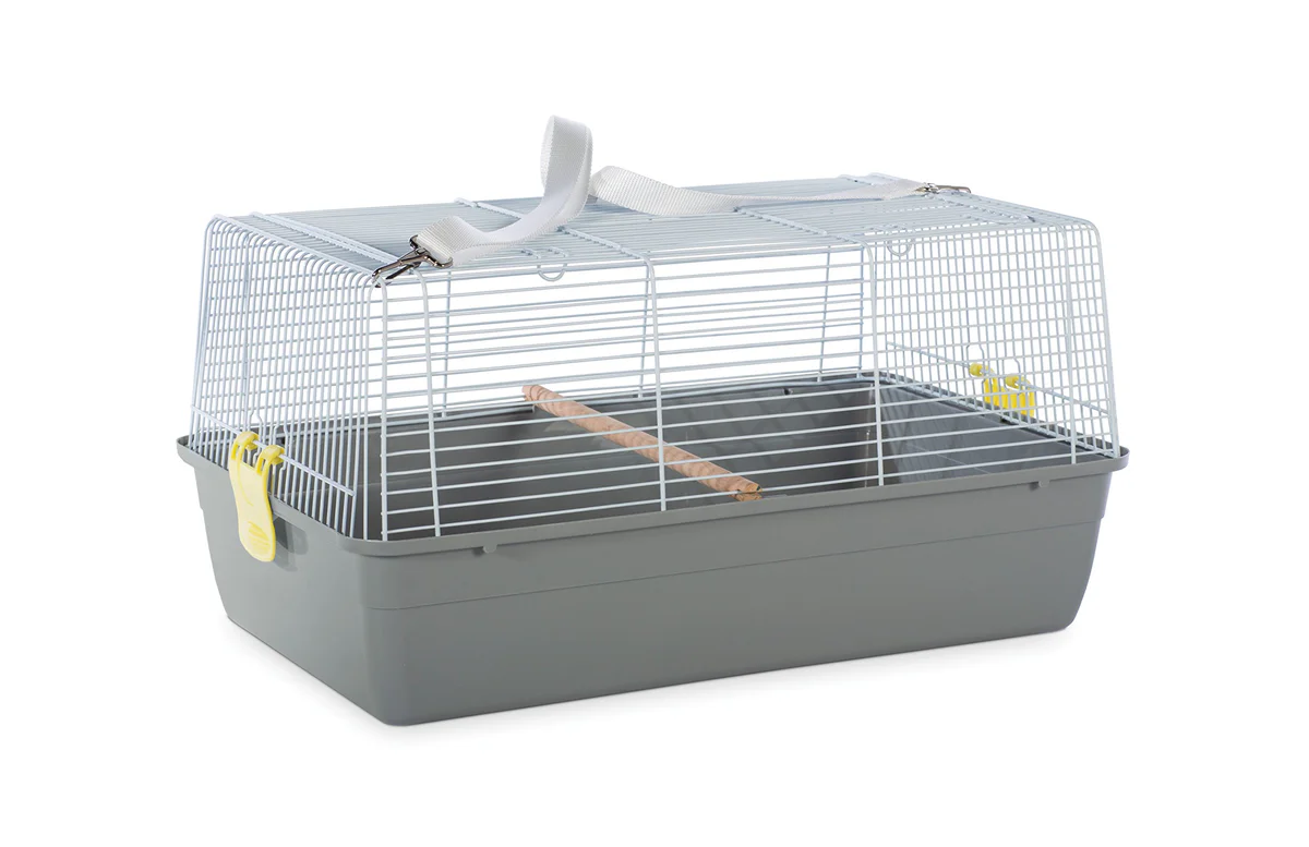 PrevuePetProducts Pet Carrier