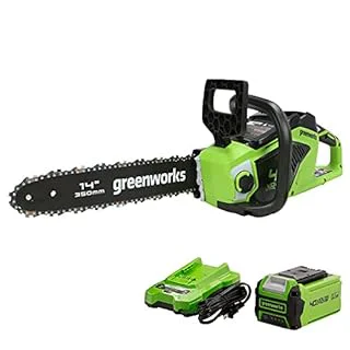 Greenworks Cordless Chainsaw