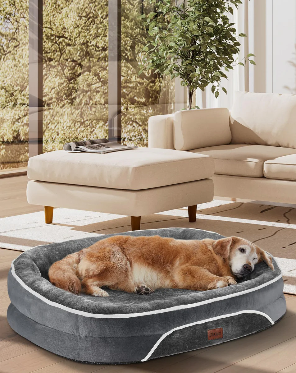 OhGeni Orthopedic Dog Bed