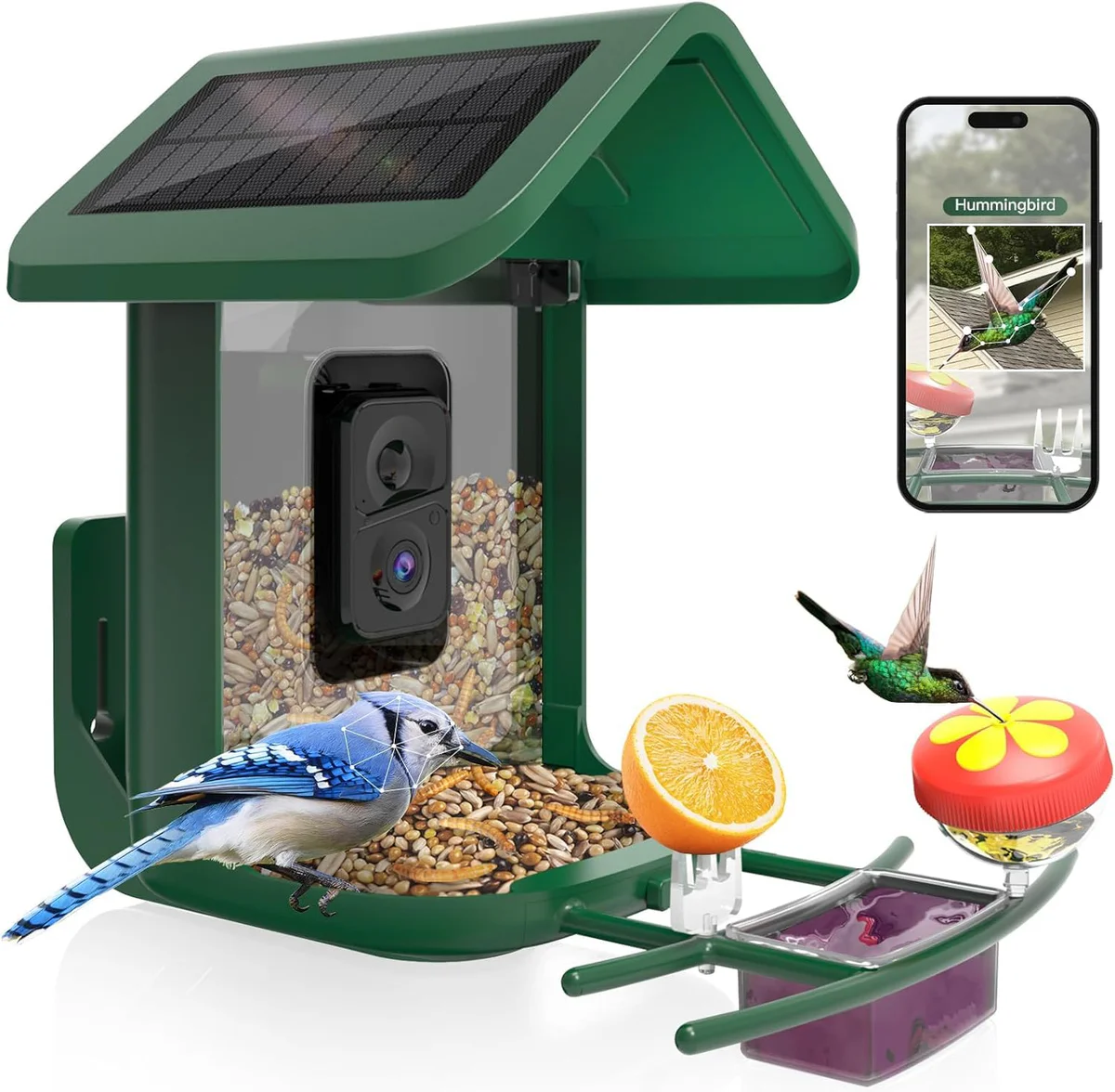 onlyfly Solar Bird Feeder Camera with AI Bird Recognition