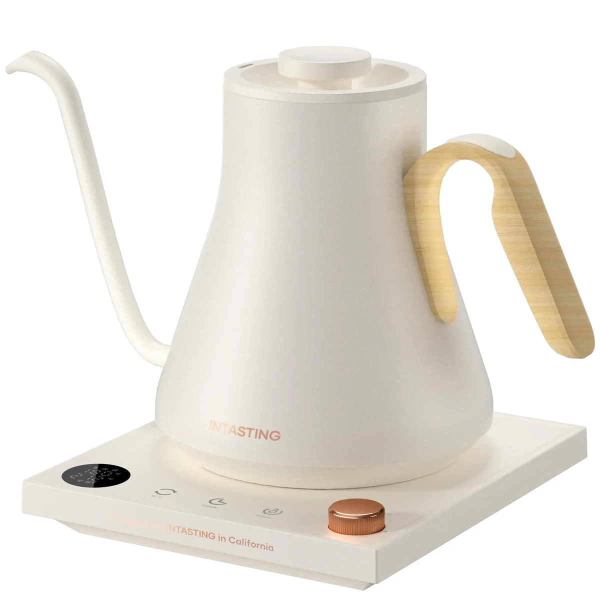 intasting Gooseneck Electric Kettle