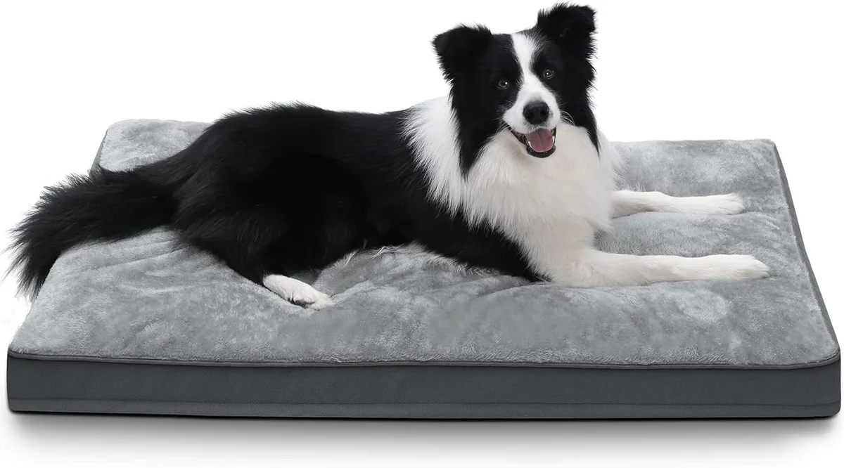 NUPIDA Pet Bed, Rectangle Lounger