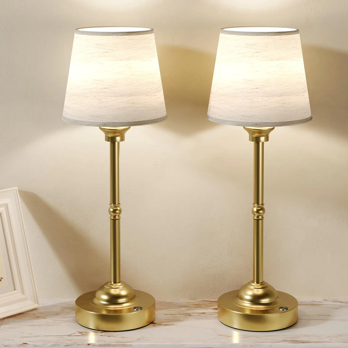 CHLORANTHUS Cordless Rechargeable LED Table Lamp