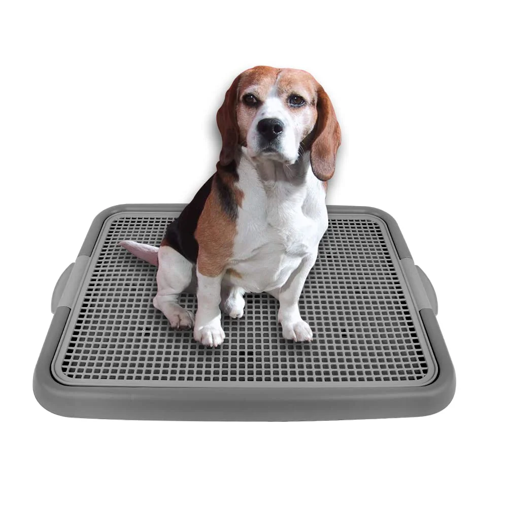 Firstco Dog Training Pads 