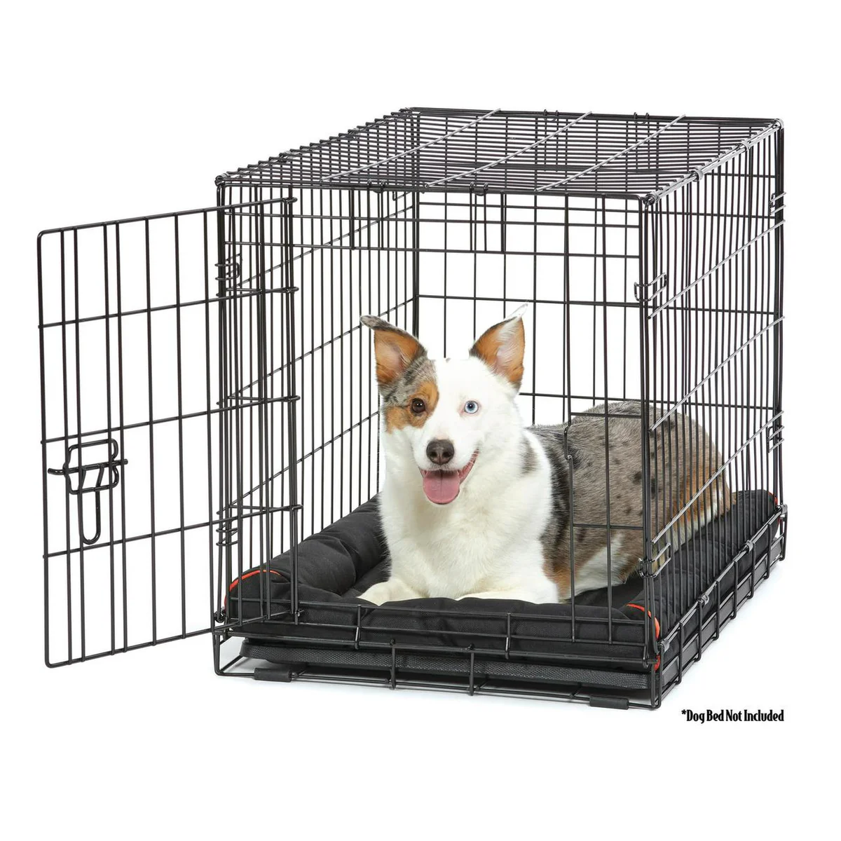 Vibrant Life Single Door Folding Metal Wire Dog Crate