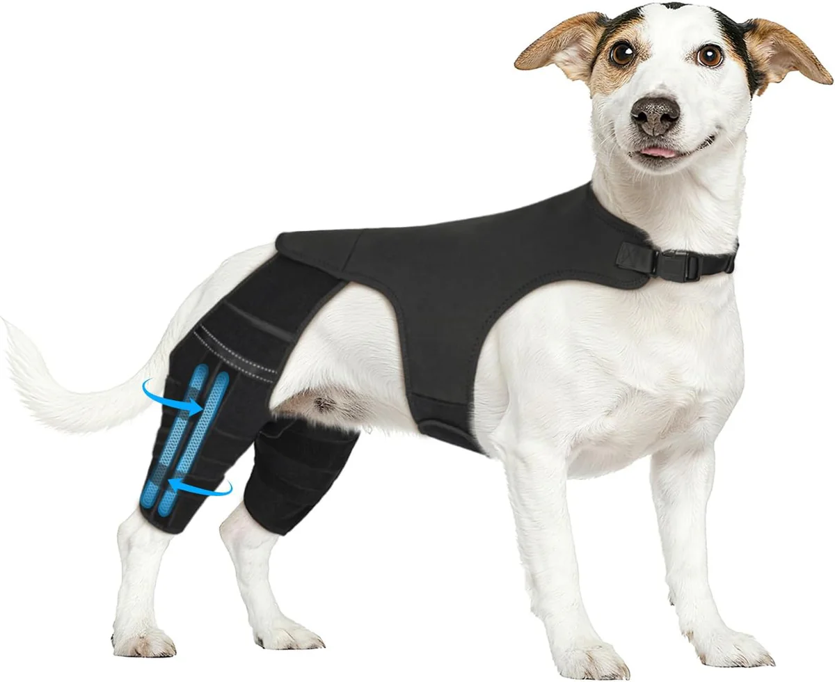 Marnonsis Dog Leg Brace Hind Knee Support with Stabilizers