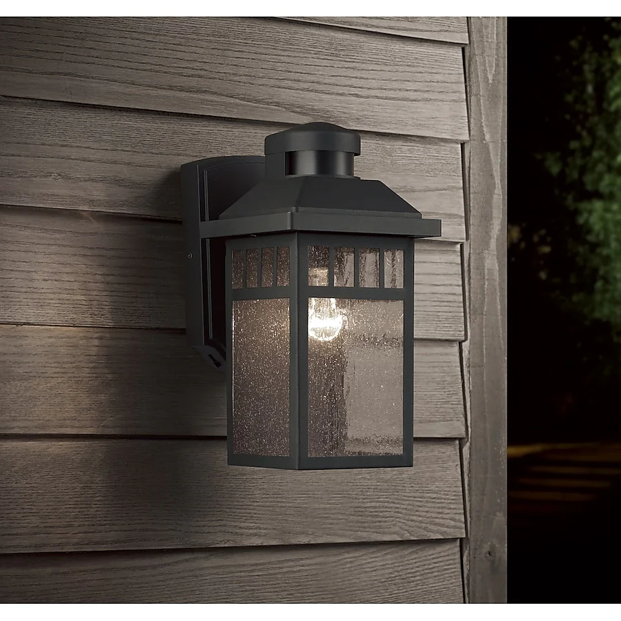 allen + roth Outdoor Hanging Lantern