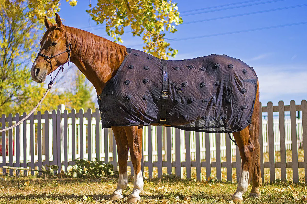 BENEFAB Horse Therapeutic Mesh Sheet