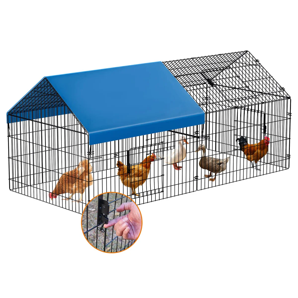 INJOPEXI,  Chicken Coop