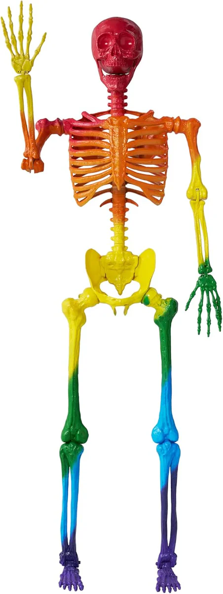 JOYIN Posable Life Size Skeleton
