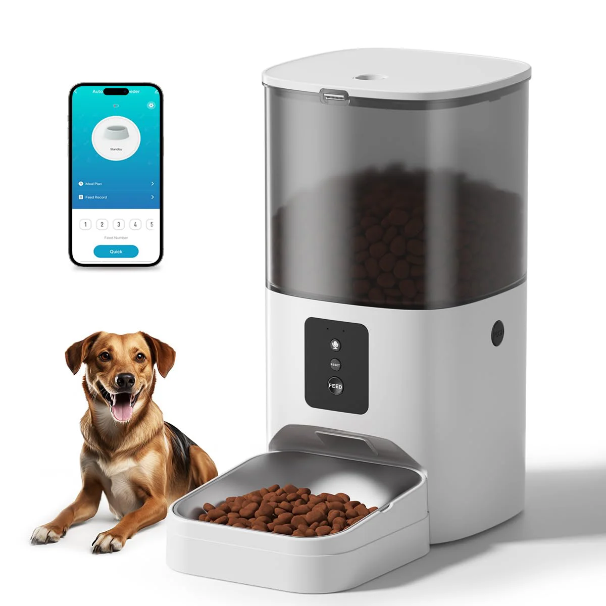 Ipawspace Pet Feeder 