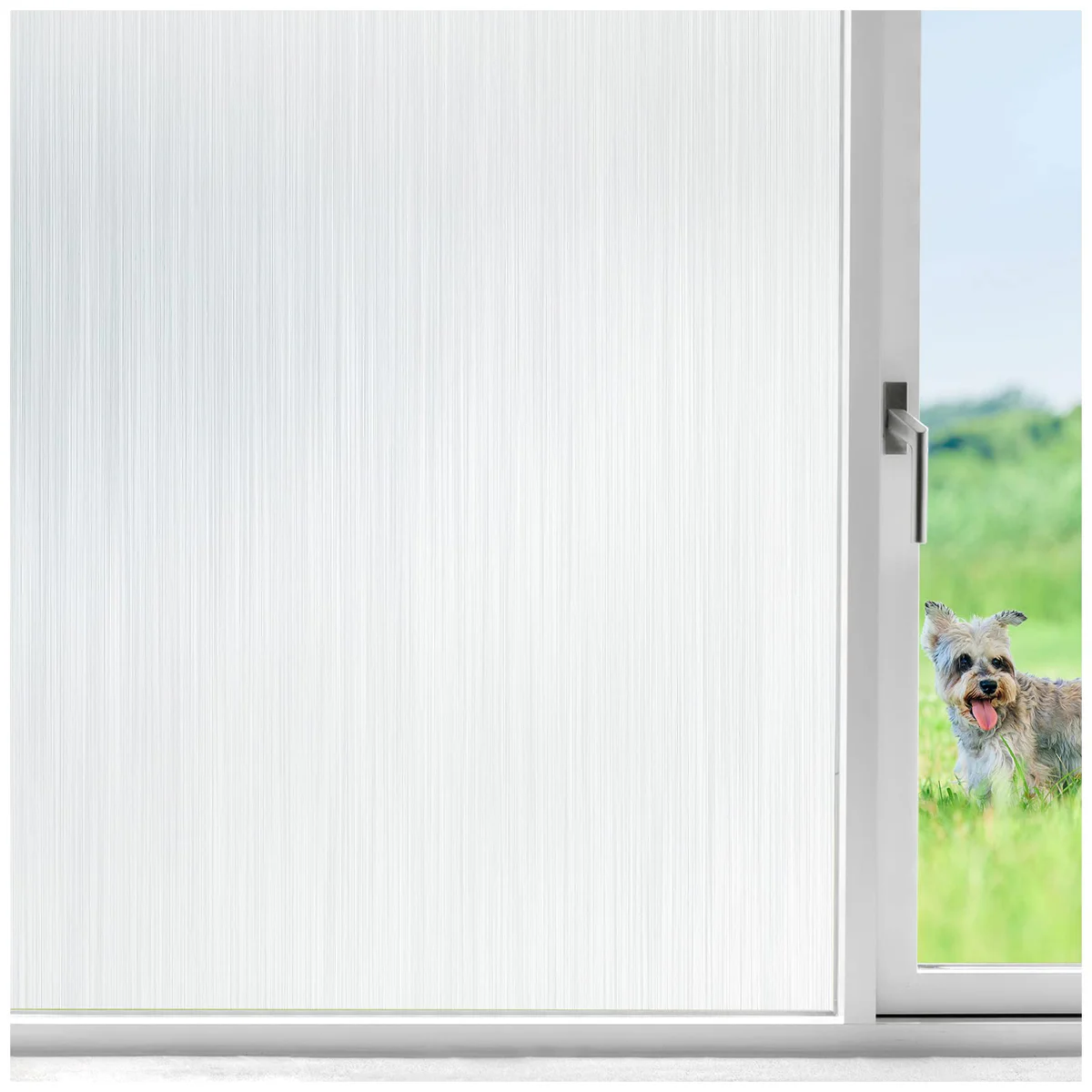 Viseeko, Privacy Window Film