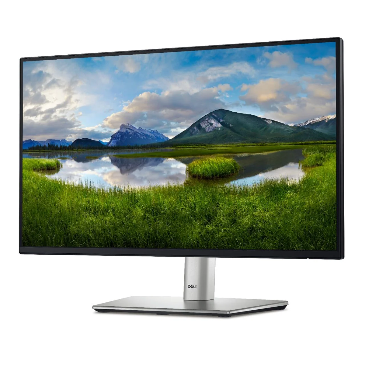 DELL Monitor 