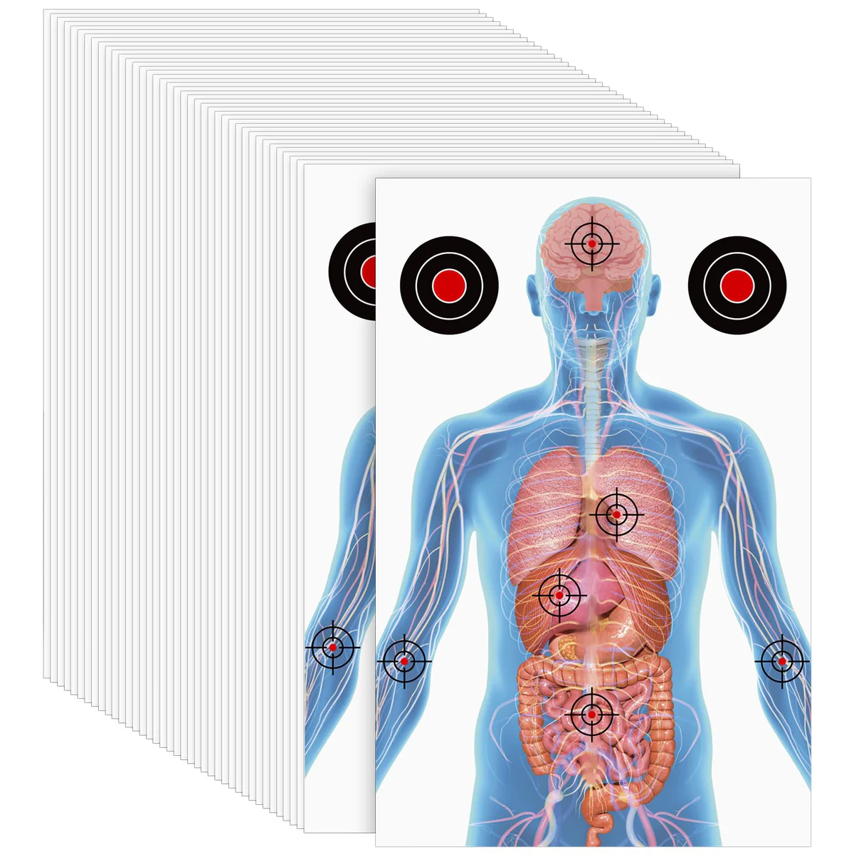 Hollowfly Anatomical Silhouette Shooting Target Paper