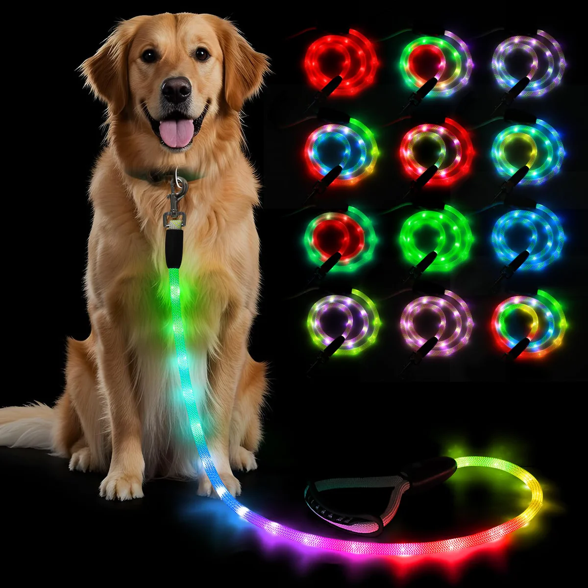 BSEEN LED Light Up Dog Leash Rechargeable