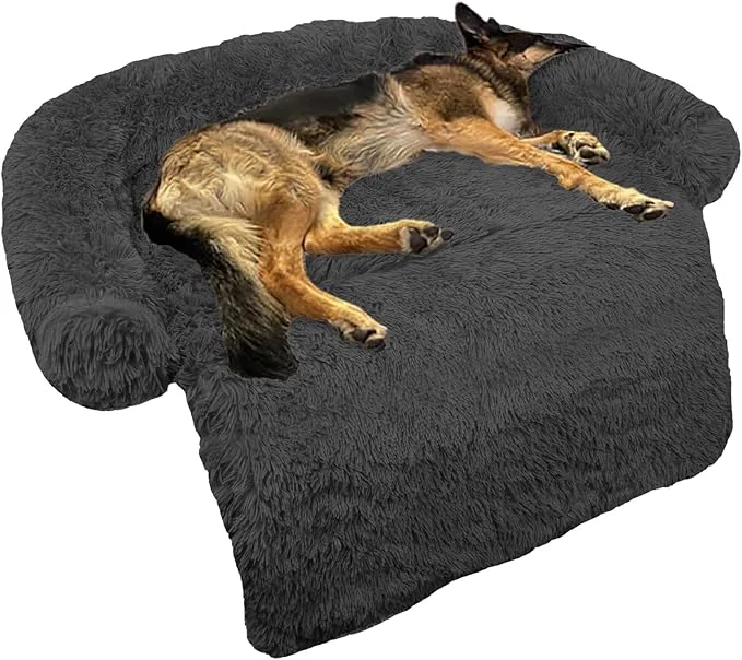 GGIB Orthopedic Foam Dog Bed