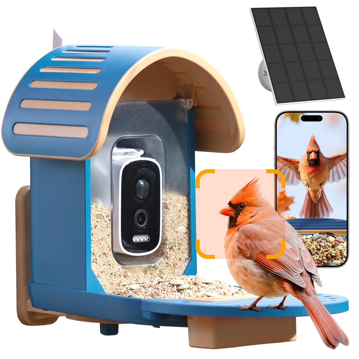 WLNYUGS Bird Feeder