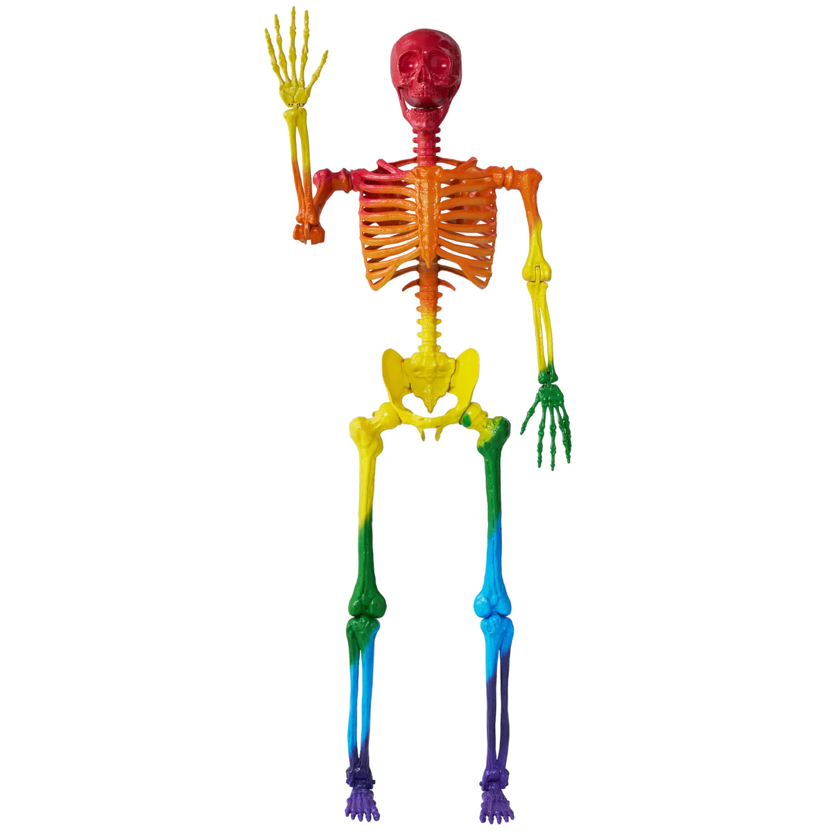 JOYIN Life-Size Skeleton