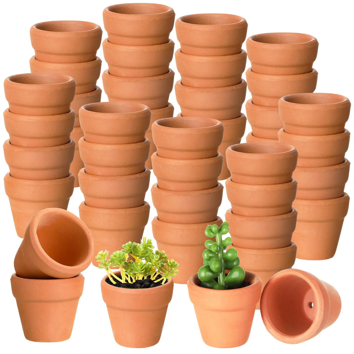 Gerrii Mini Terracotta Plant Pots