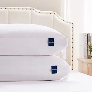 ACCURATEX Pillows