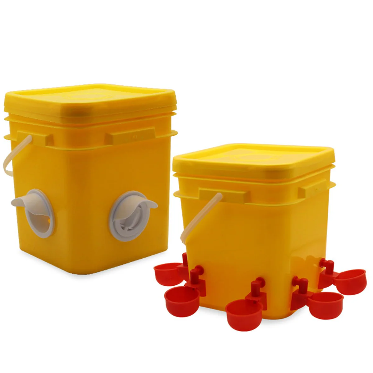 Generic Chicken Feeder and Watering Set