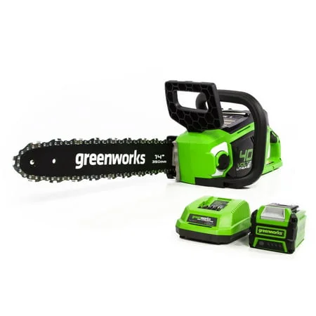 Greenworks Cordless Chainsaw