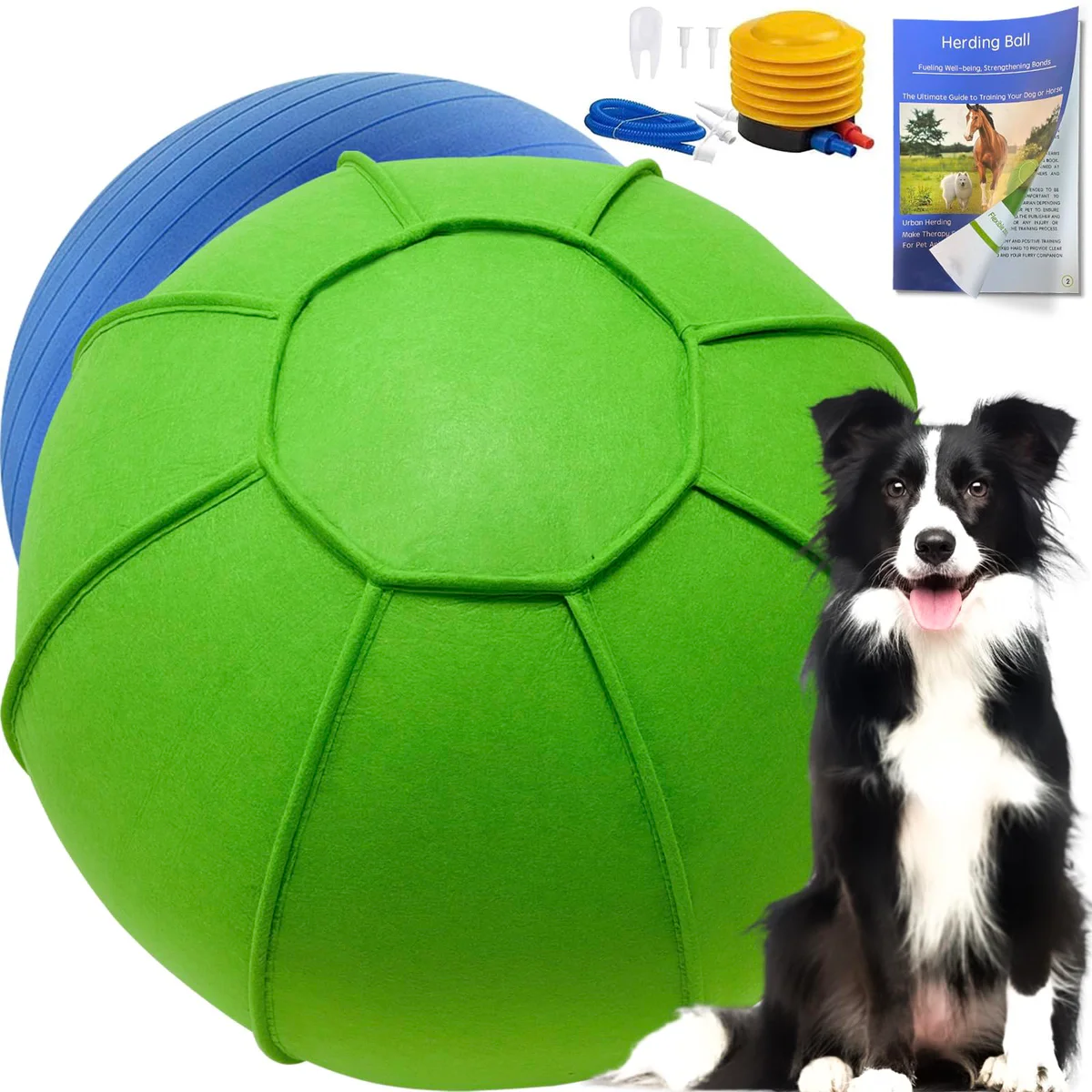Sapbontchi Herding Ball for Dogs